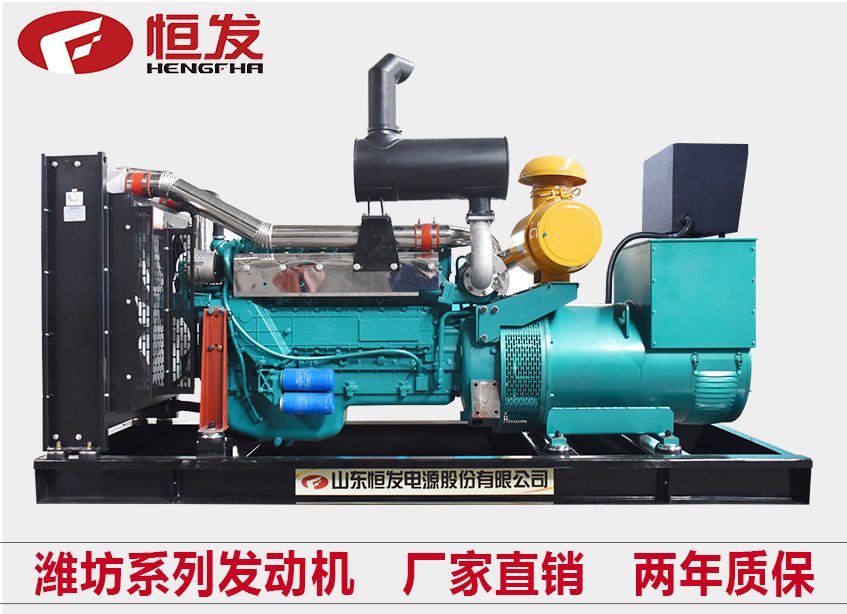 潍坊系列250kw柴油发电机组厂家直销四保护
