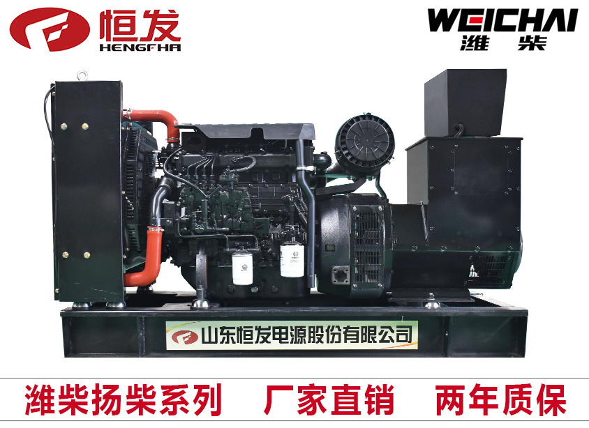 潍柴扬柴系列50kw柴油发电机组厂家直销四保护